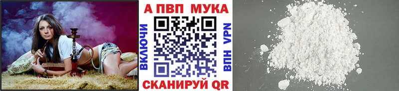 А ПВП крисы CK  Сунжа 